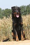 BEAUCERON 010